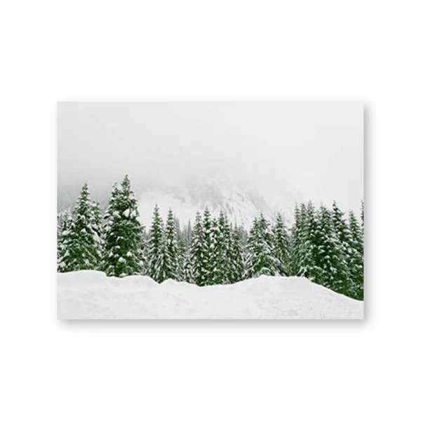 Modern Scandinavian Print Snow Trees Forest Poster Nature Winter Landscape Photography Art Canvas Painting Home Wall Art Decor - Цвет: PH5225