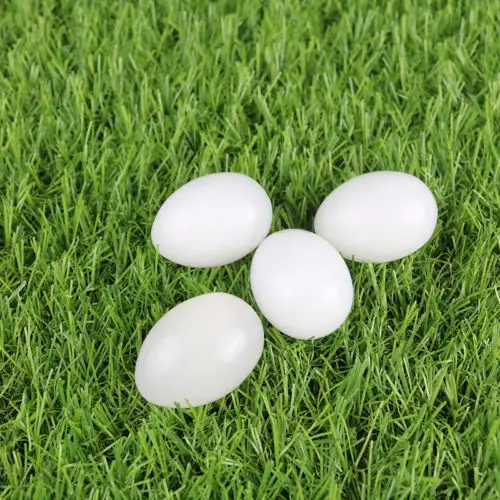 5 шт. фотояйцо для птицы|eggs for hatching|egg fakeeggs hatching |