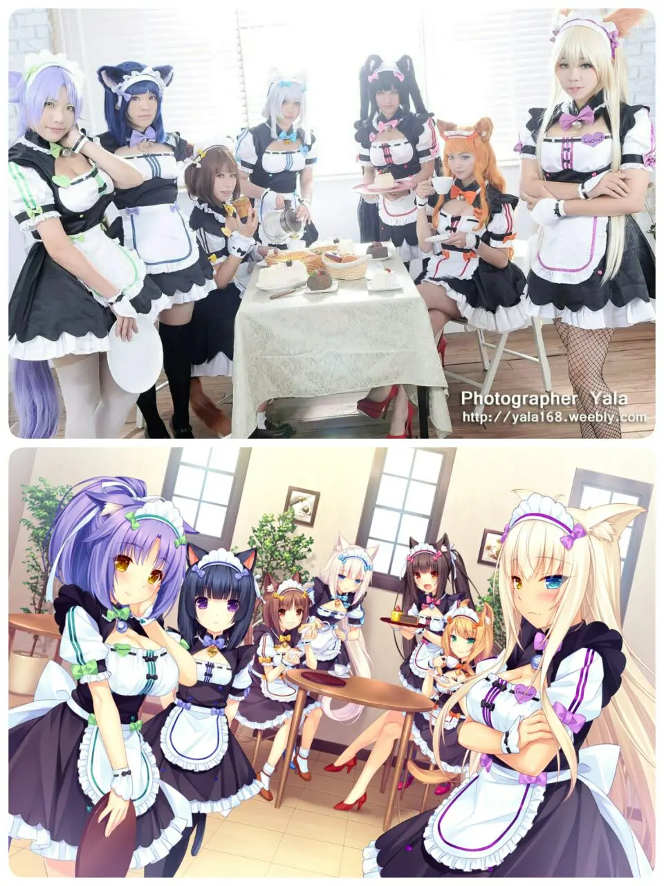 Nekopara Chocola Горничная Косплей Костюм с аксессуаром 7 цветов на выбор 11|cosplay costume|maid