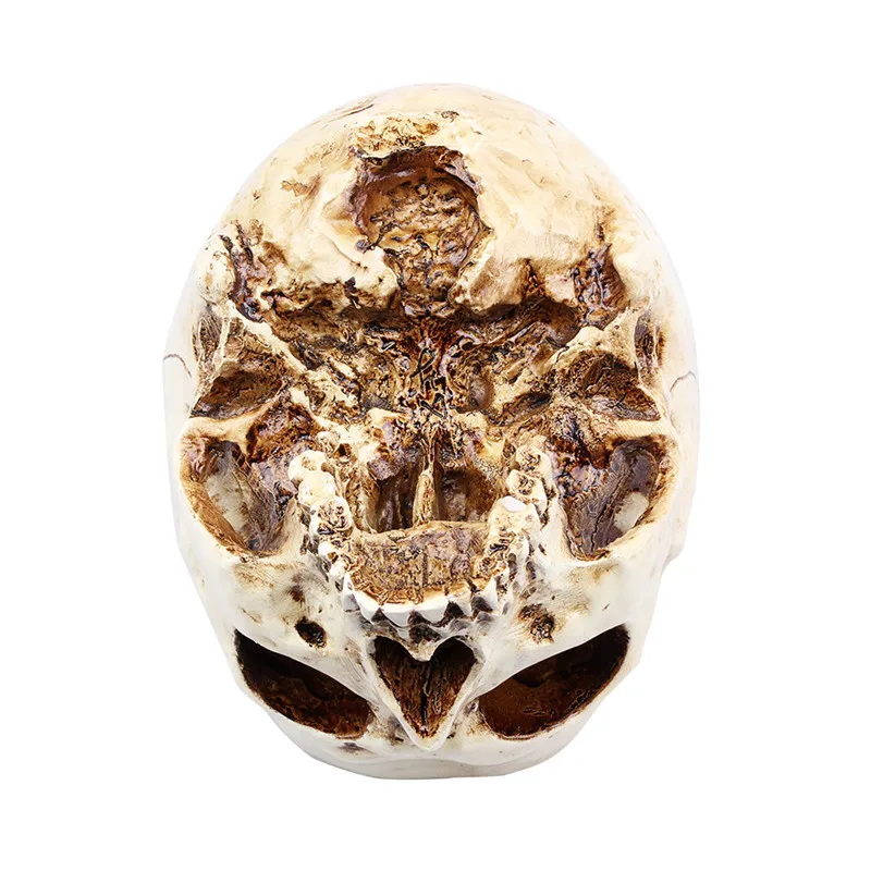 Хэллоуин необычные домашние животные большой череп модель многофункциональный