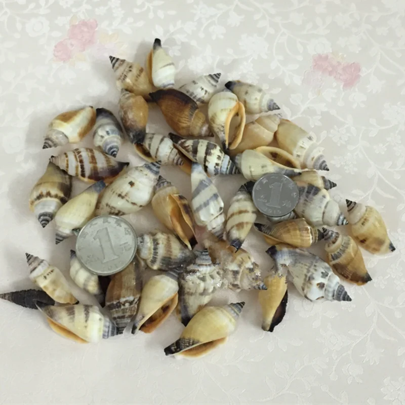 Свечи раковины океана желе воск свечи морской натуральный Свадебные украшения