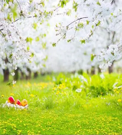Willow Tree Green Grass Spring Easter Egg Background Vinyl cloth High quality Computer print children kids backdrop | Электроника
