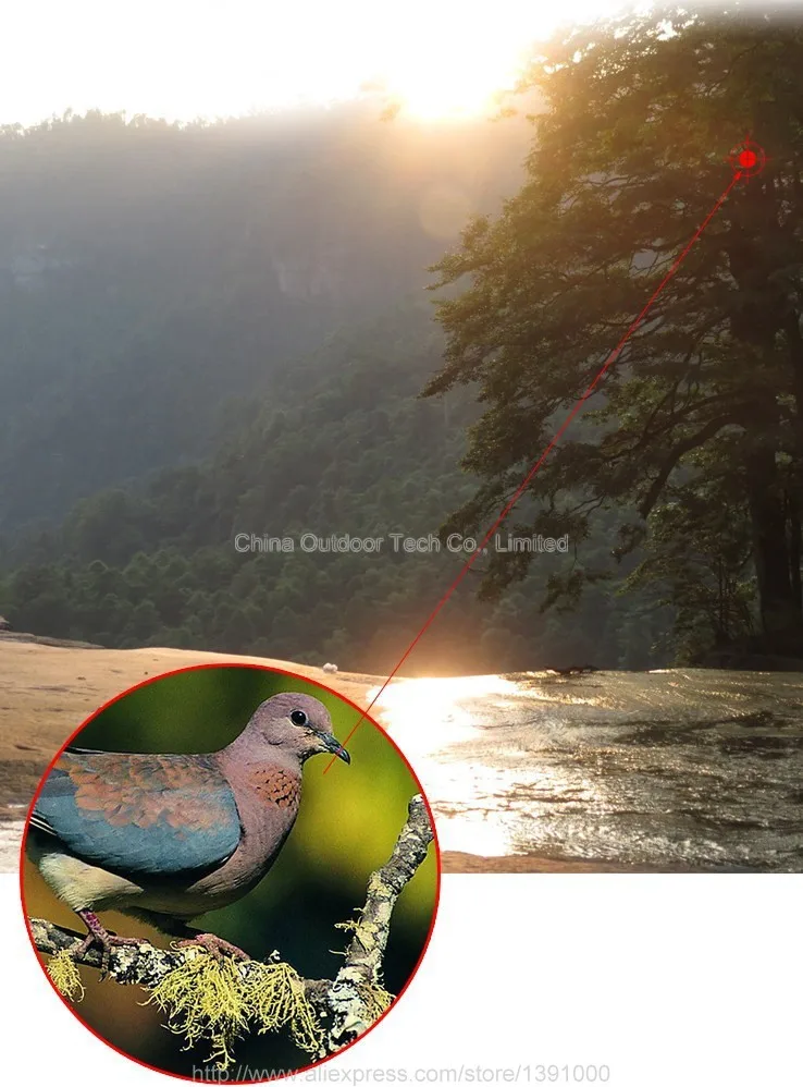 Двойного назначения дневное и ночное видение 1x40 Красная точка зеленый свет