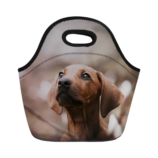 XM2090Z20 Twoheartsgirl милый Dachshunds напечатанный неопреновый мешок для завтрака для женщин дети Термоизолированный Ланч-бокс сумка-тоут Портативный Ланч-мешок - Цвет: XM2090Z20