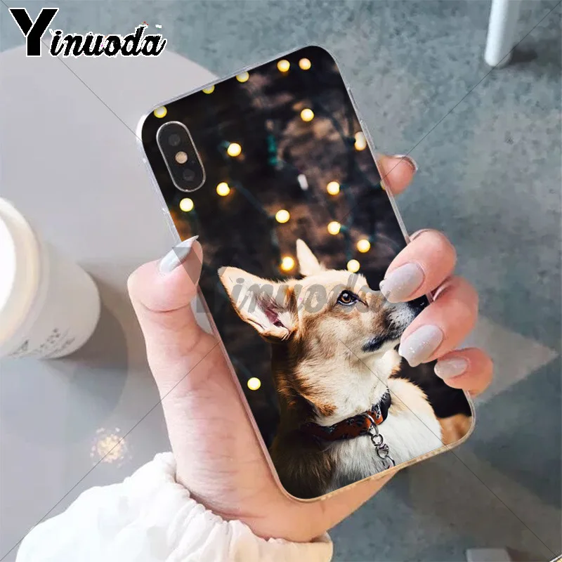 Умный чехол 11pro MAX Best friend animal corgi мягкий для Apple iPhone 8 7 6 6S Plus X XS 5 5S SE XR|Чехлы-накладки|