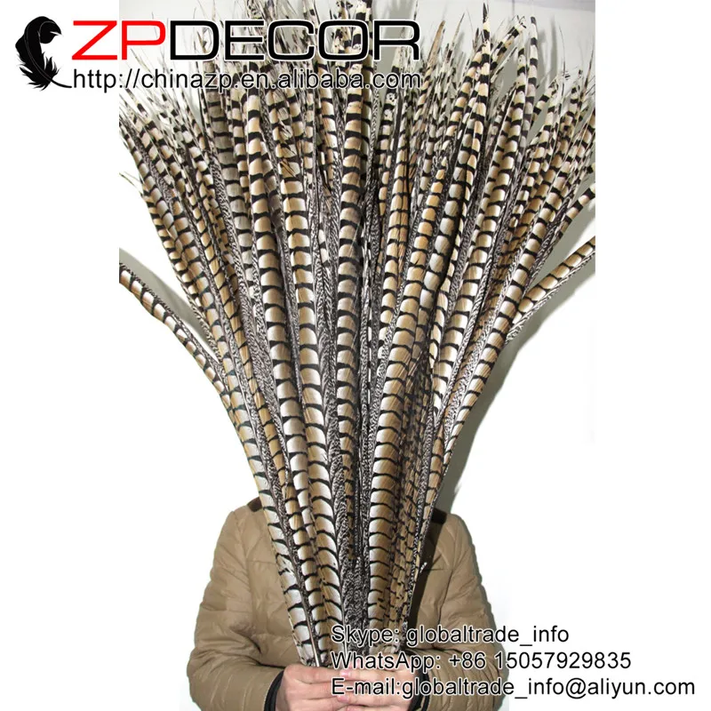 

ZPDECOR 40-44 дюйма (100-110 см) 50 шт./лот супер длинные натуральные женские перья из хвоста фазана для декора карнавального головного убора