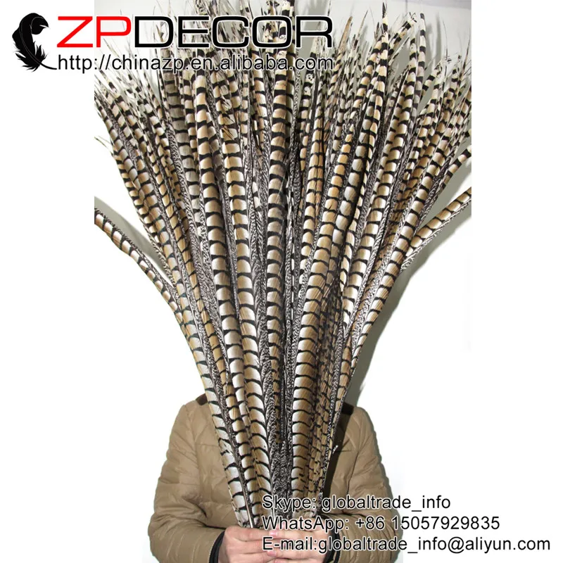 ZPDECOR 40 44 дюйма (100 110 см) 50 шт./лот супер длинные натуральные женские перья из хвоста