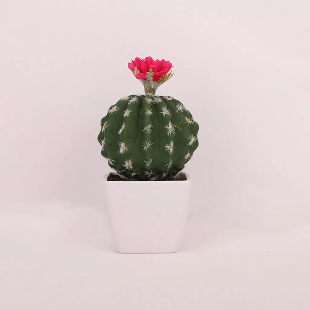 Лучшая цена 2019 Лидер продаж имитация с изображением кактуса в горшке