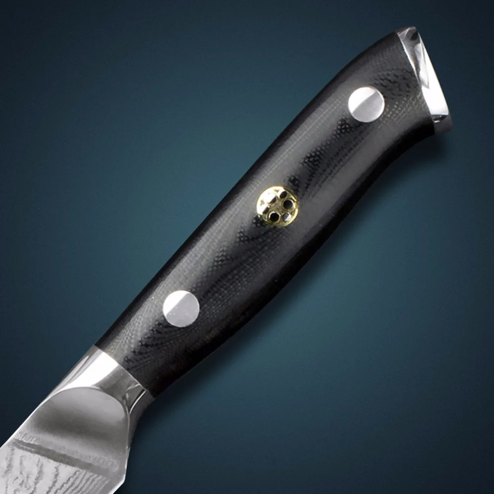 Роскошный 67 слоев японской VG10 дамасской стали Santoku набор кухонных ножей Фруктовые Ножи с мозаичной заклепкой