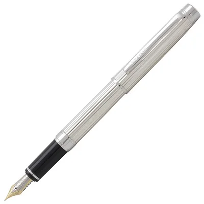 stripe Pilot Япония 925 Серебряная перьевая ручка 18K золото двухцветная перьевая FGNC-35SS - Цвет: stripe