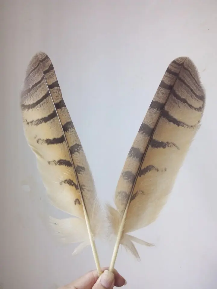 Новинка! Натуральные перышки совы 9 14 дюймов/22 30 см 10 шт.|owl feathers|natural feathersfeather feather |