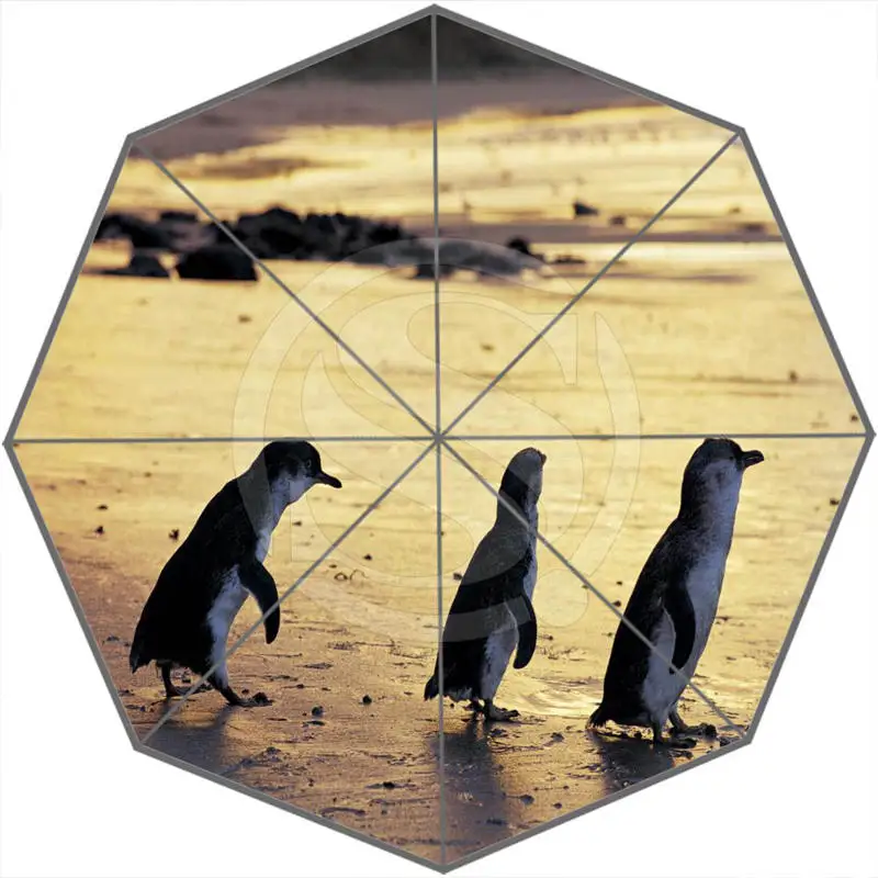 Hot Sale Cool Cute penguins Adults Universal Design Fashion Foldable Sun and Rain Umbrella Free Shipping SQ0602-P98 | Дом и сад