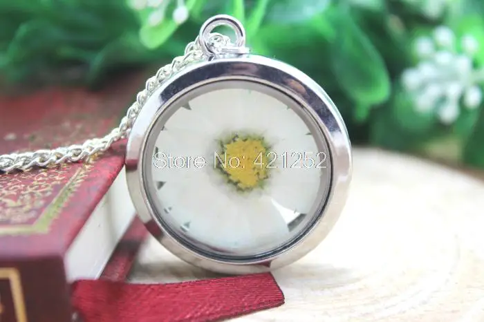 

6 шт., медальон для ожерелья, настоящие хризантемы, цветок, стеклянный медальон, ожерелье, шесть цветов, серебро