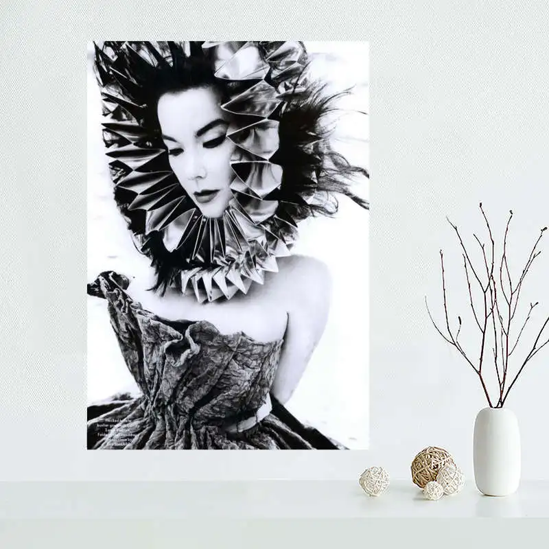 Тканевый постер на холсте с изображением Бьорка заказ шелковая ткань настенный