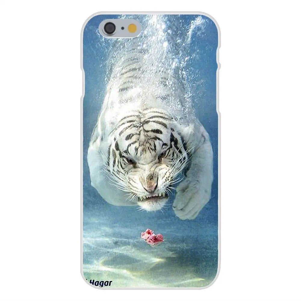 Белый Бенгальский Тигр для Apple iPhone 4 4S 5 5C 5S SE 6 6S 7 8 Plus X XS Max XR Прозрачный чехол
