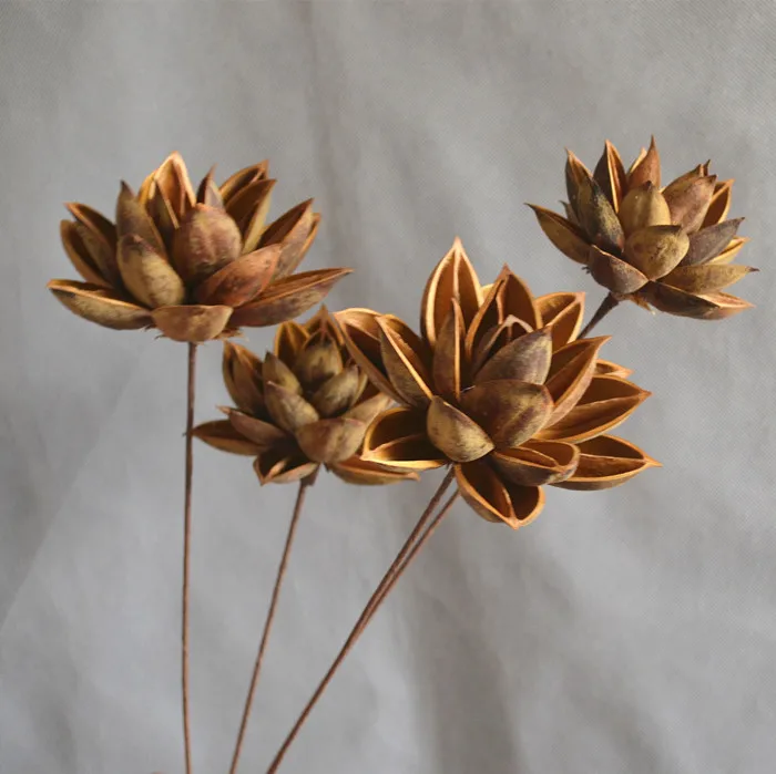 Искусственные цветы сухого лотоса искусственные букеты высушенных цветов