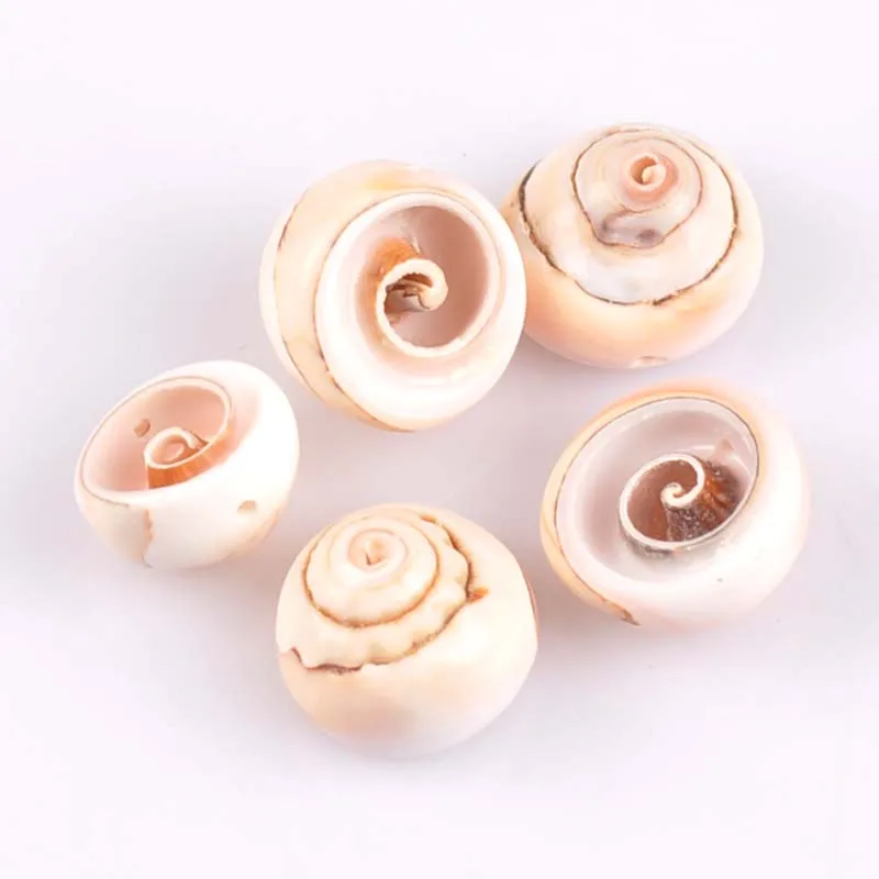 10 шт. спиральные ракушки для украшения дома 20 мм|crafts diy|craft scrapbookcraft seashells |