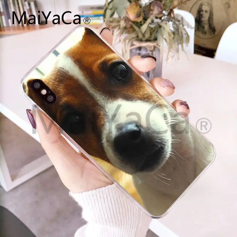 Мягкий ТПУ чехол MaiYaCa Jack Russell Terrier Dog для iphone X 8 8plus прозрачный и 7 7plus 6