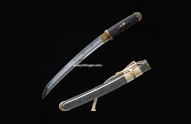 Короткие китайские мечи Han Jian Wushu|Боевые искусства| |