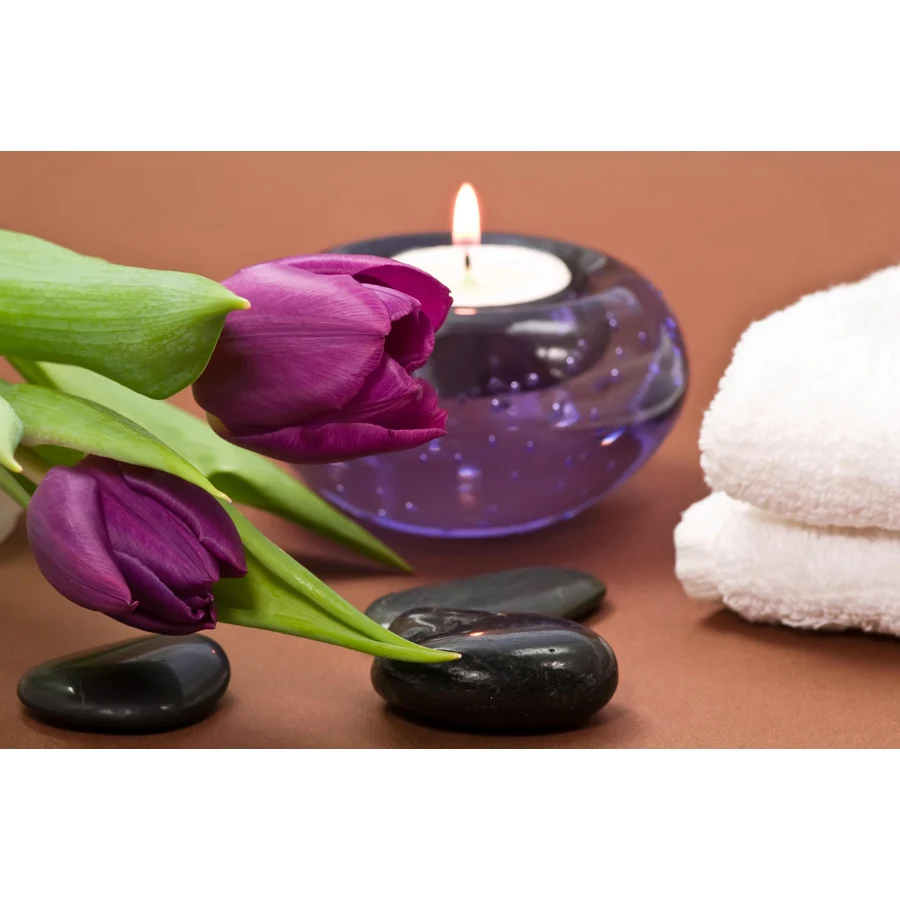Настенное художественное полотно печать на холсте Spa Body Nail Salon массажное