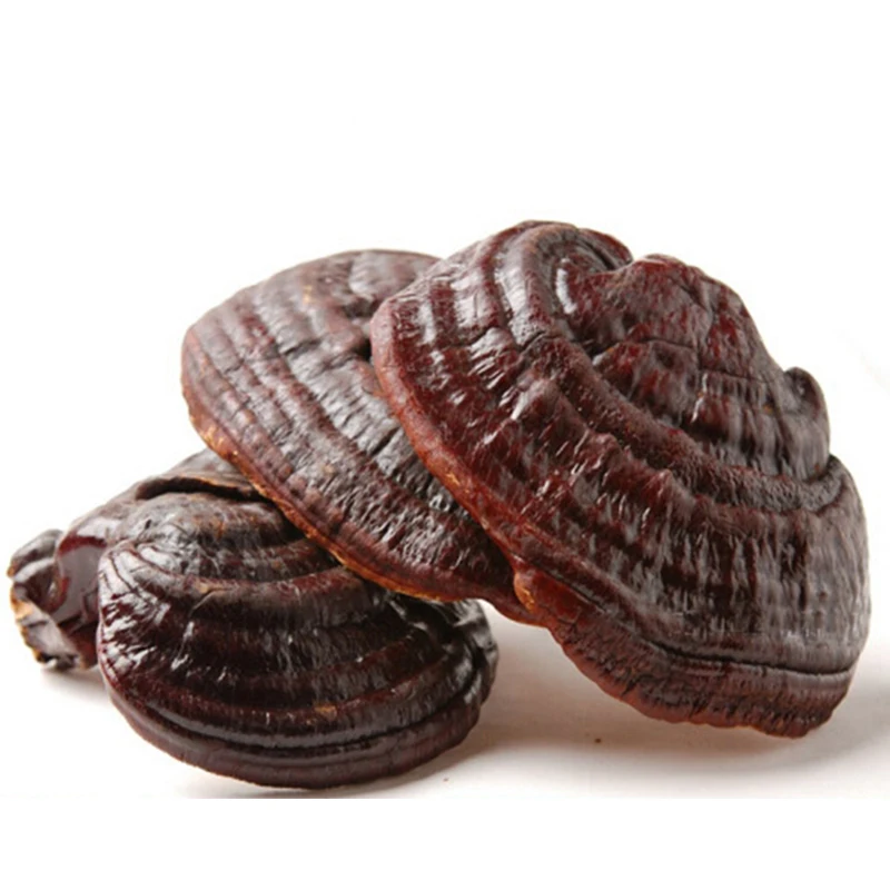 200 г Ganoderma Lucidum Paekdusan фитотерапия природные сушеные Lingzhi рейши грибы анти - рак
