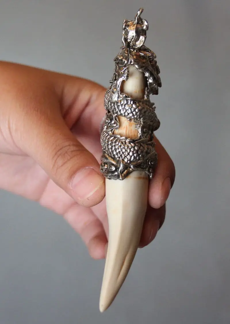 Китайский античный искусственный каучук зуб Дикая свинья серебряный дракон
