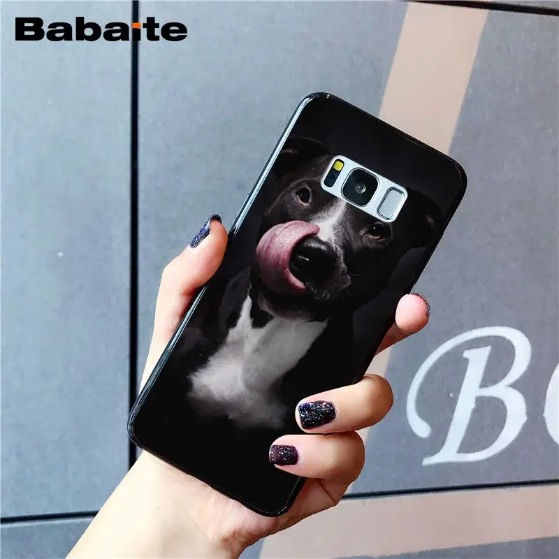 A11 Babaite питбуль прекрасный питбуль чехол для телефона для samsung Galaxy S8 S7 edge S10 Plus S10E S10lite S9 Plus S5 M10 20 - Цвет: A11