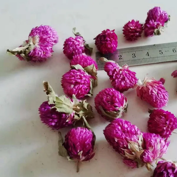 20 шт. сушеная Сохраненная фиолетовая Gomphrena Globosa для свадебной вечеринки, украшения дома, отеля, букеты, проектная принадлежность