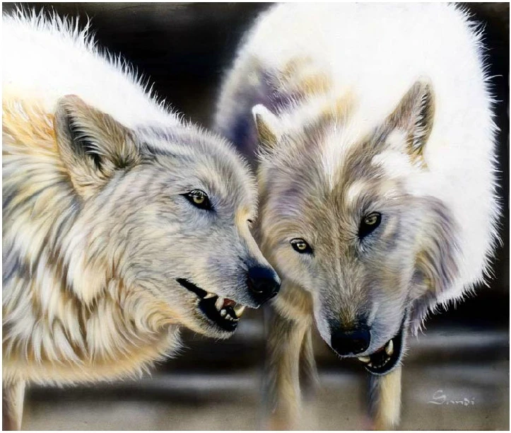 

Набор для вышивки крестиком arctic wolf mate wolf HAE-DW494