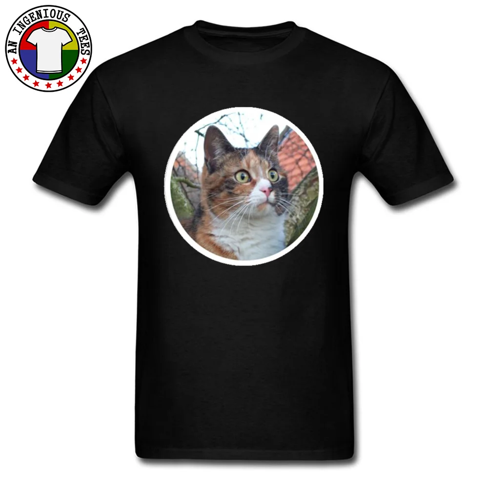 Новый дизайн с коротким рукавом Нормальная Футболка красивая Calico кошка 100% хлопок