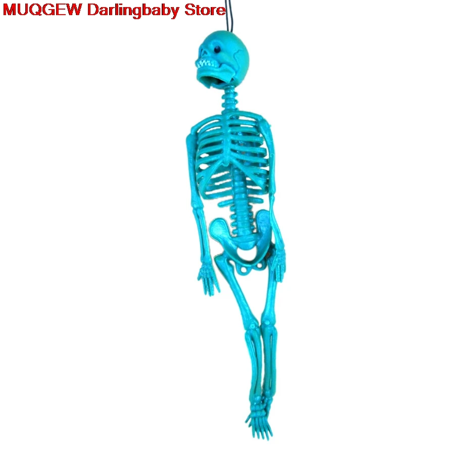 Обучающее образование моделирование всего тела страшный скелет модель забавные