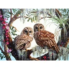 5D алмазная живопись сделай сам, вышивка с совами, полноразмерная картина из смолы, алмазная вышивка, мозаика, вышивка крестиком, ручная работа, подарок