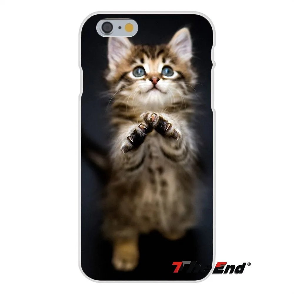 Милый молящийся котята коты для HTC One M7 M8 A9 M9 E9 Plus Desire 630 530 626 628 816 820 Мягкий