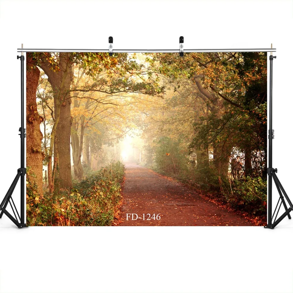 Парк дерево дорожка фон для фотографии аксессуары детская виниловая ткань