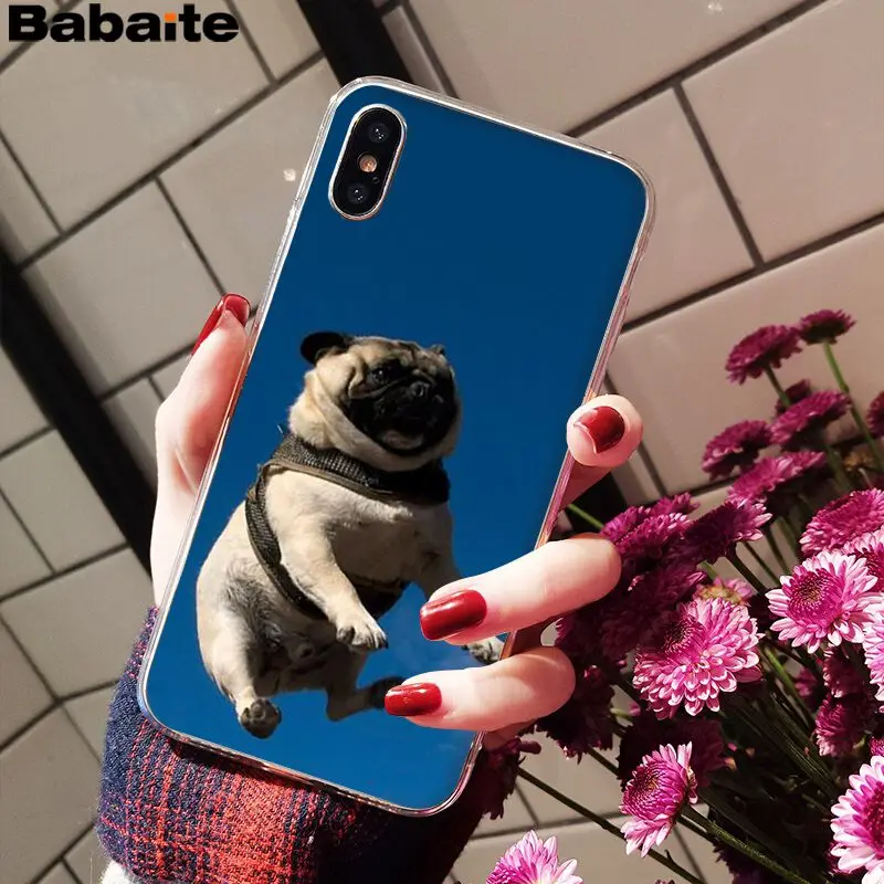 Babaite милый мопс Роскошный Уникальный Дизайн чехол для телефона для iPhone 6S 6plus 7plus 8 8Plus X Xs MAX 5 5S XR - Цвет: A8