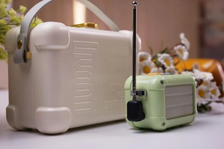 Отличный Divoom Macchiato Bluetooth беспроводной динамик маття зеленый металлический радио открытый портативный ручной музыкальный плеер сабвуфер