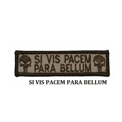 Вышивка значок Каратель Череп SI VIS PACEM PARA BELLUM военные вышитые значки Тактический Патч для верхней одежды кепки сумка - Цвет: 09