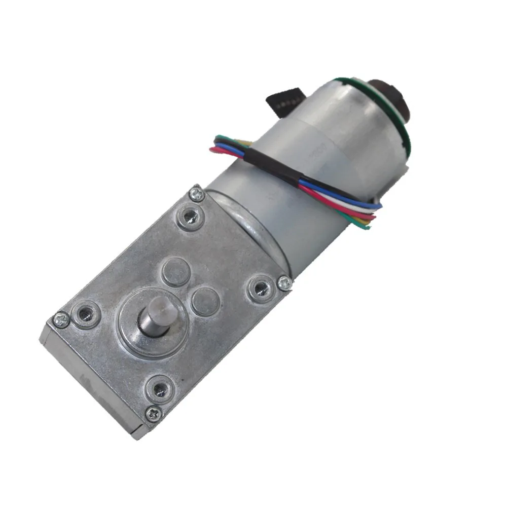 5840-555 Encoder Geared Motor Large Torque Belt Worm Gear 12V-24 | Обустройство дома