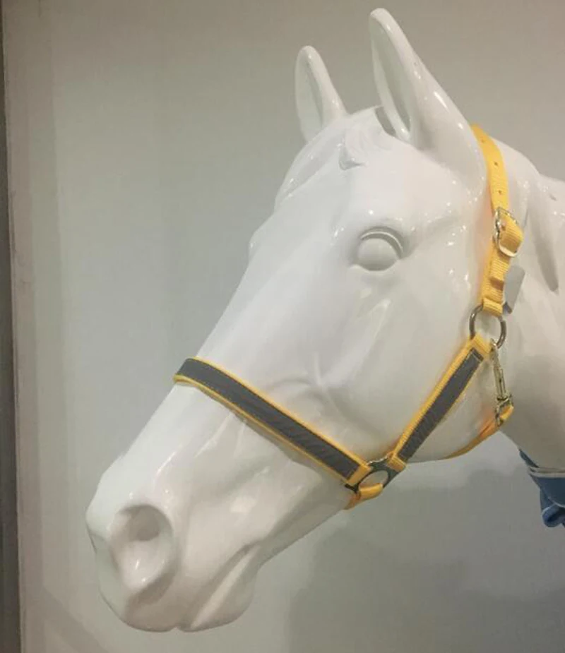 New Arrival Horse Riding Equipment Horse Halter Metal Eyelet Horse Riding Equestrian For A Horse Equestrianism Accessories