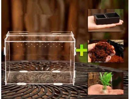 Террариум Vivarium комплект с магнитной защелкой воды чаша подложка искусственного растения для геккон ящерица, змея тарантула рептилия акрил - Цвет: Темно-коричневый
