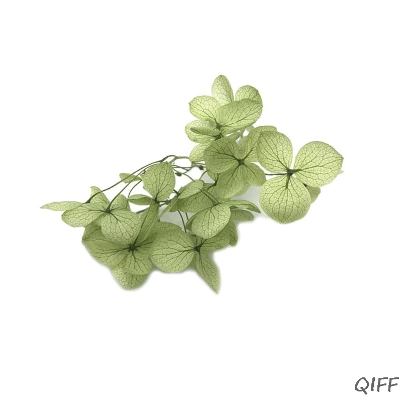 1 коробка сухой цветок DIY изделия из эпоксидной смолы ручной работы наполнитель сушеные цветы время изготовление каменных ювелирных изделий стол Decorati