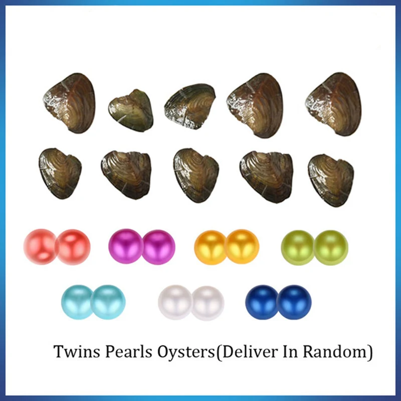 

30pcs/lot 2018 round Oyster Twins Pearl 6-7mm 27Color freshwater Natural pearl Gift DIY Jewelry Decorations Vacuum Packaging