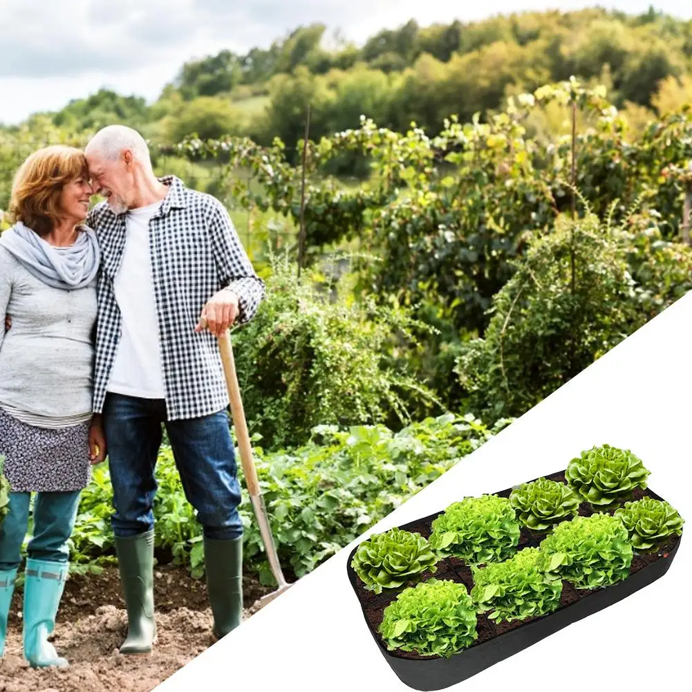 Поднятая кровать сада расположенных 8 сетки ткань поднятый посадки детская