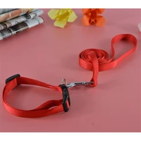 10 pieceslot120 cm long high quality nylon dog pet collar daily walking collar leash for pet dog