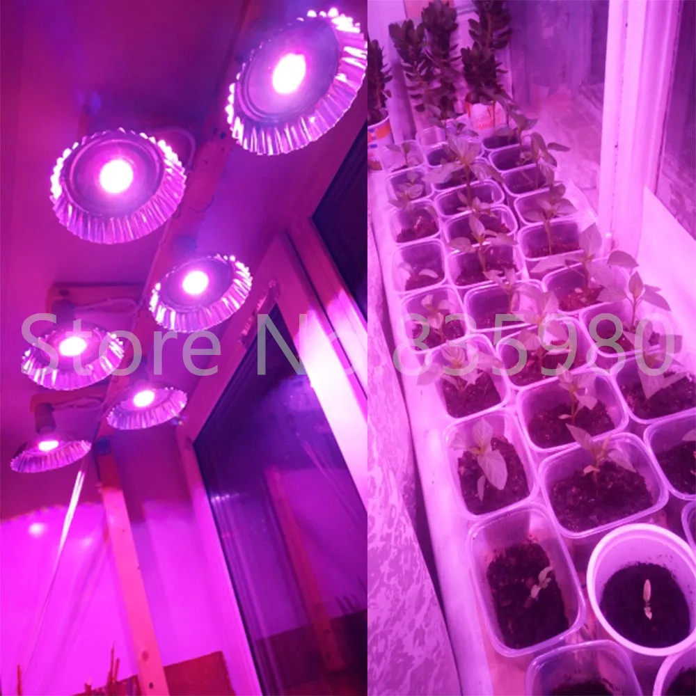 (10pcs/Lot) Full Spectrum 36W LED Grow Light E27 Plant Lamp For Indoor Hydroponic Garden Tent Flower Vegetable Growing Spot | Освещение