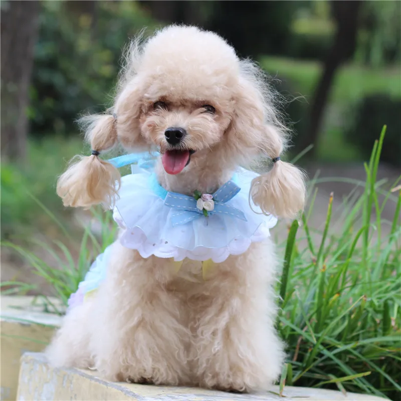 

Аксессуары для домашних животных щенок кошка маленький цветочный нагрудник медведь VIP кружево слюнявчик полотенце bibn галстук X13