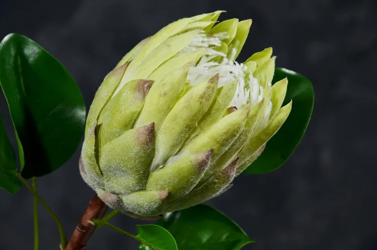 3 шт. Roxo Verde Rei Protea Cynaroides 58 см Longo Flor искусственные букеты De Noiva Casamento Casa Decorativa Flores Falsas