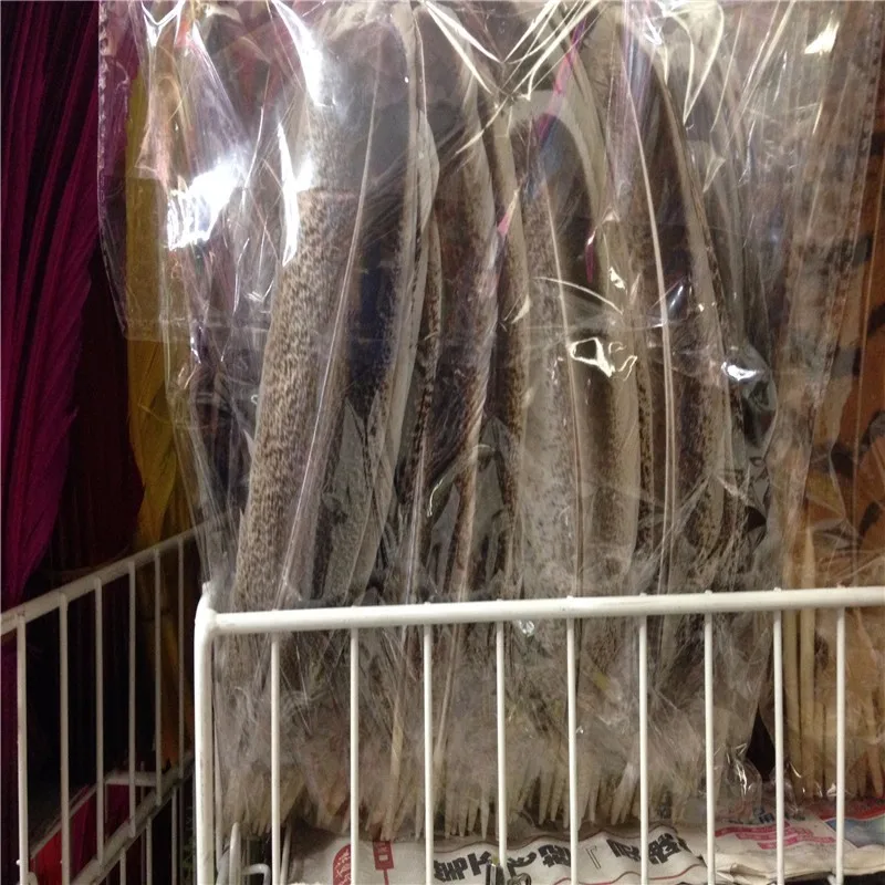 Оптовая продажа 100 шт. 28-34 см Редкие натуральные перья фазана Центральный Фокус