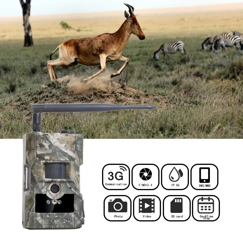 Bolyguard охотничья камера 3g MMS SMS Дикая камера 24 м 1080PHD 90ft PIR ночное видение фото ловушки скаутинг камера fototrappola