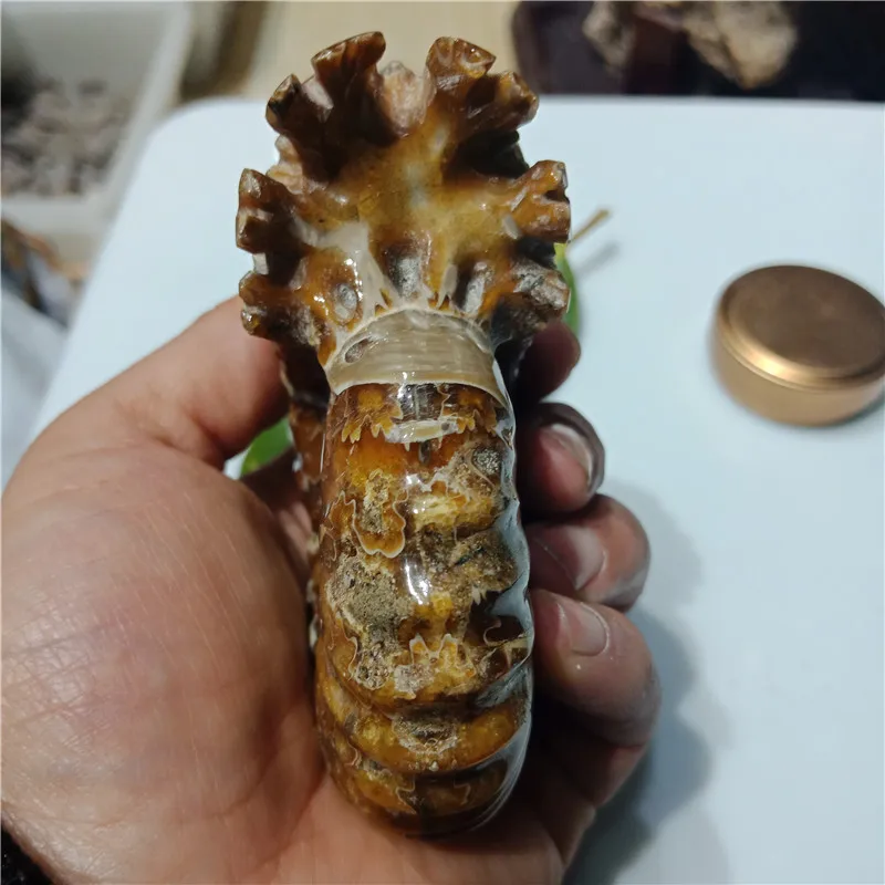Около 200 граммов натуральный полированный козий Рог окаменелости аммониты Conch